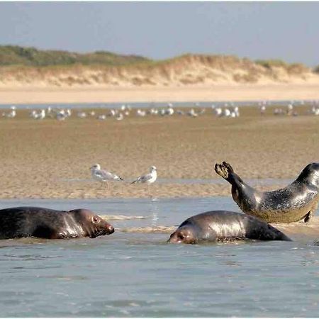 Escapade Berckoise, Berck Plage 외부 사진
