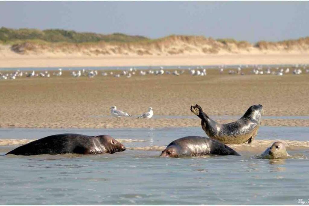 Escapade Berckoise, Berck Plage 외부 사진
